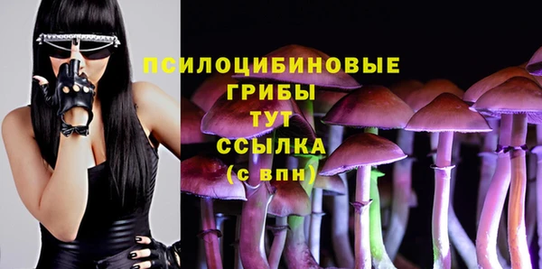 амф Абаза